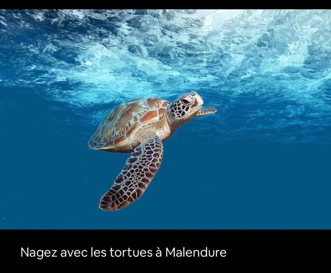 Gite Ti Papiyon Bouillante Eksteriør billede
